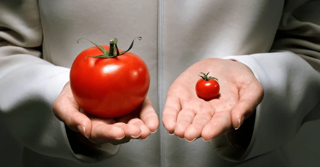 Die beste fonio.ai Alternative 2026: Ein detaillierter Vergleich von KI-Telefonassistenten